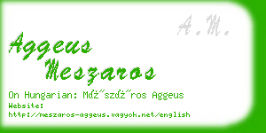 aggeus meszaros business card